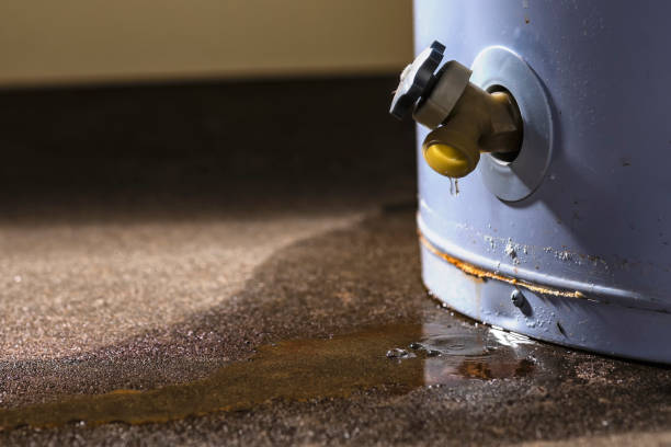 Best 24-hour water damage restoration  in Jerome, IL